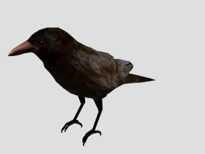 25 low poly bird collection game ready Model 3D
