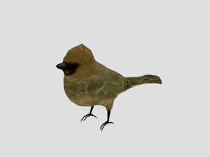 25 low poly bird collection game ready Model 3D