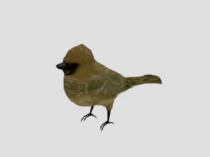25 low poly bird collection game ready 3D Model