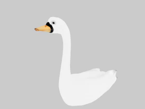 25 low poly bird collection game ready 3D Model