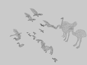 25 low poly bird collection game ready Model 3D