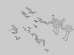 25 low poly bird collection game ready 3D Model