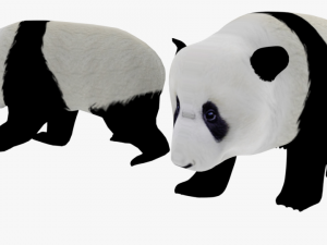 low poly rigged animal collection Model 3D