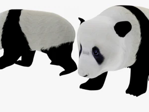 low poly rigged animal collection 3D Model