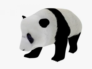 low poly rigged animal collection 3D Model