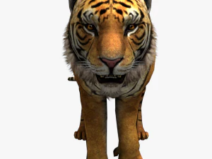 low poly rigged animal collection 3D Model