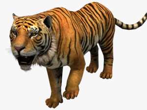 low poly rigged animal collection 3D Model