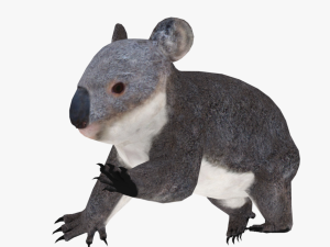 low poly rigged animal collection Model 3D
