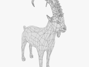 low poly rigged animal collection Model 3D