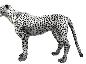 low poly rigged animal collection 3D Model