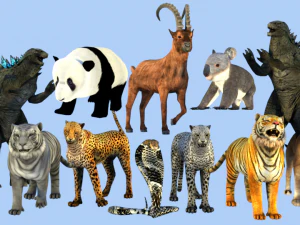 low poly rigged animal collection 3D Model
