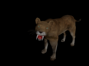 low poly rigged animal collection Model 3D