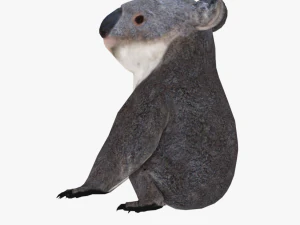 low poly rigged animal collection 3D Model