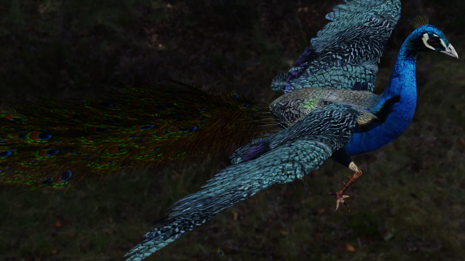 realistic peacock rigged low poly 3D Model .c4d .max .obj .3ds .fbx .stl .blend