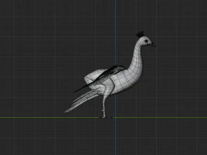 realistic peacock rigged low poly 3D Model