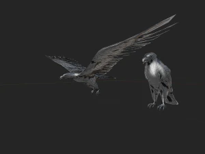 2 eagles rigged ow poly 3D Model