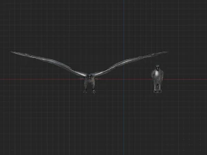 2 eagles rigged ow poly 3D Model