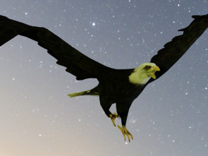 2 eagles rigged ow poly Modèle 3D