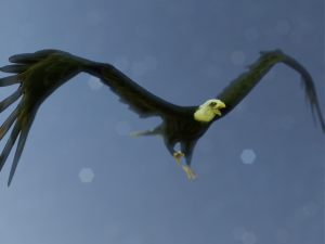 2 eagles rigged ow poly Modèle 3D
