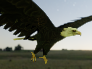 2 eagles rigged ow poly Model 3D