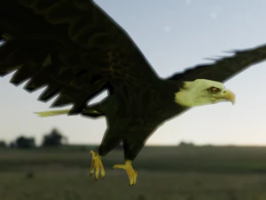 2 eagles rigged ow poly 3D Model