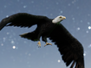 2 eagles rigged ow poly Modèle 3D
