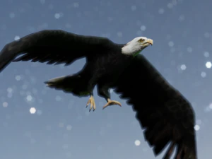 2 eagles rigged ow poly 3D Model