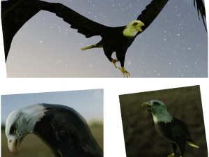 2 eagles rigged ow poly 3D Model