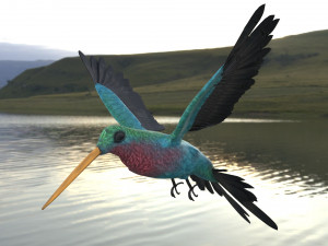 rigged hummingbird 3D Model