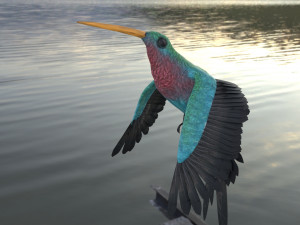 rigged hummingbird 3D-Modell