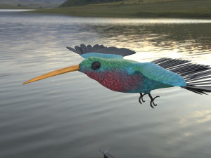 rigged hummingbird 3D-Modell