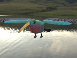 rigged hummingbird 3D-Modell