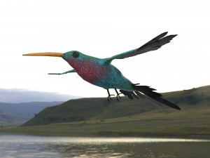 rigged hummingbird 3D-Modell