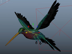 rigged hummingbird 3D-Modell