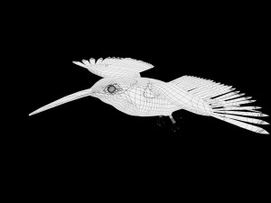 rigged hummingbird 3D-Modell