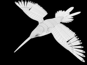 rigged hummingbird 3D-Modell