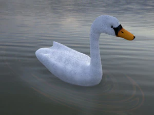 swan 3D Model