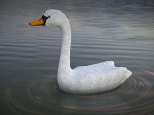 swan 3D मॉडल