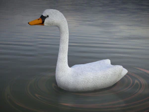 swan 3D Model