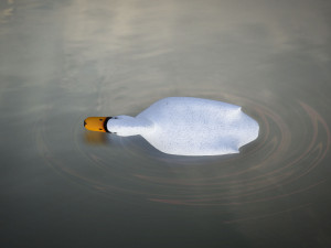 swan 3D मॉडल