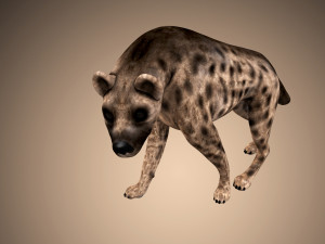 hyena rigged low poly 3D Model