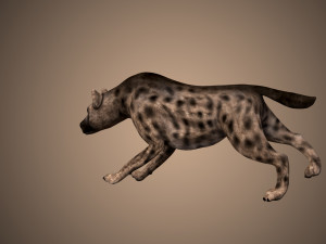 hyena rigged low poly Model 3D