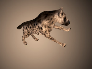 hyena rigged low poly Model 3D