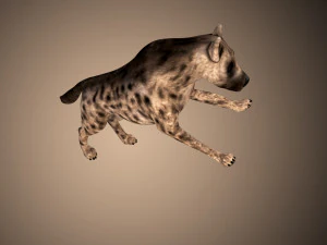 hyena rigged low poly 3D Model