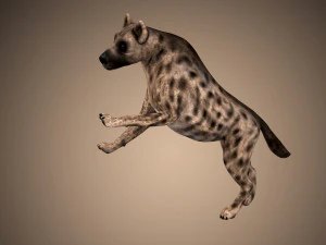 hyena rigged low poly 3D Model