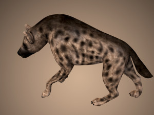 hyena rigged low poly Model 3D