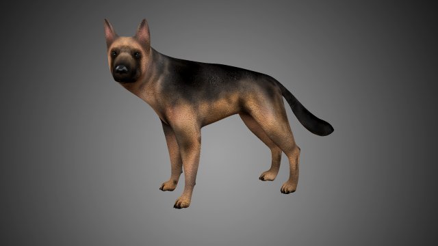 german shepherd rigged low poly 3D Model .c4d .max .obj .3ds .fbx .stl .blend 