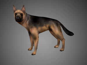 german shepherd rigged low poly 3D Model