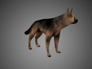 german shepherd rigged low poly 3D Model