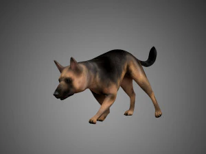 german shepherd rigged low poly 3D Model